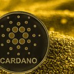 Cardano_800x533_L_1556444760