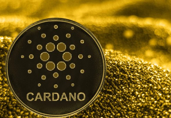 Cardano_800x533_L_1556444760